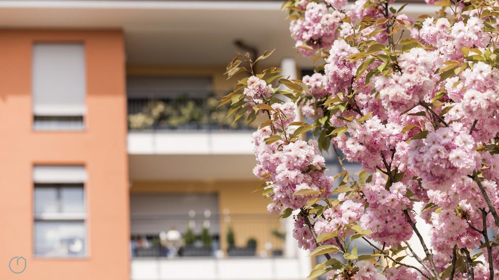 Italianway - Marcantonio Apartment Milan