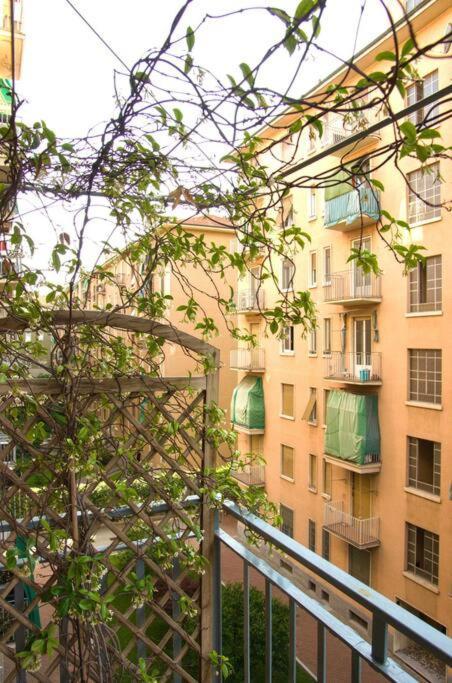 P&n - Bicocca E Niguarda Milan