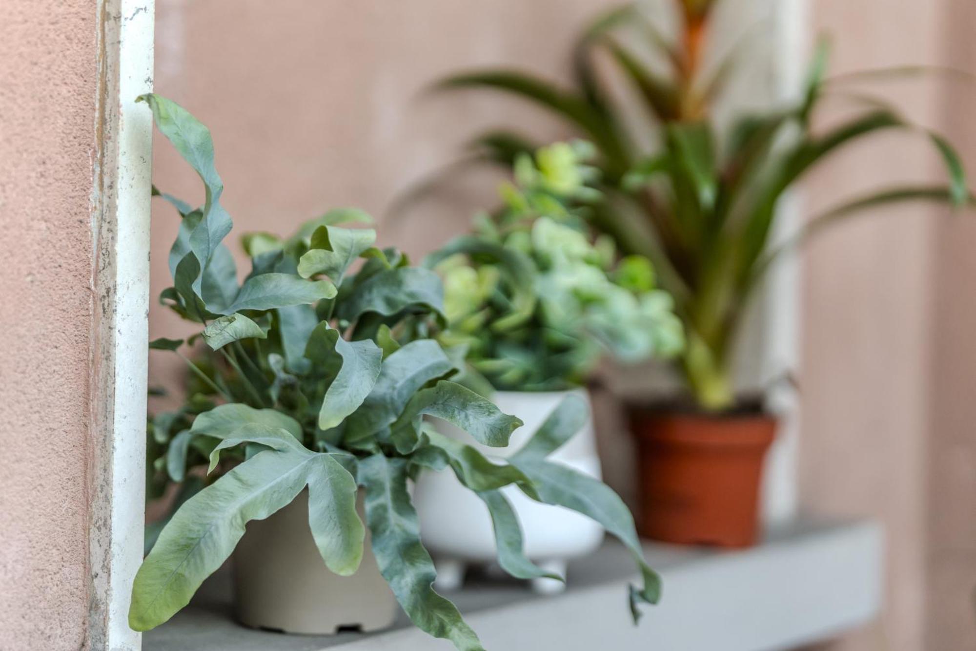 Duomo-bicocca - Cozy Apartment Milan