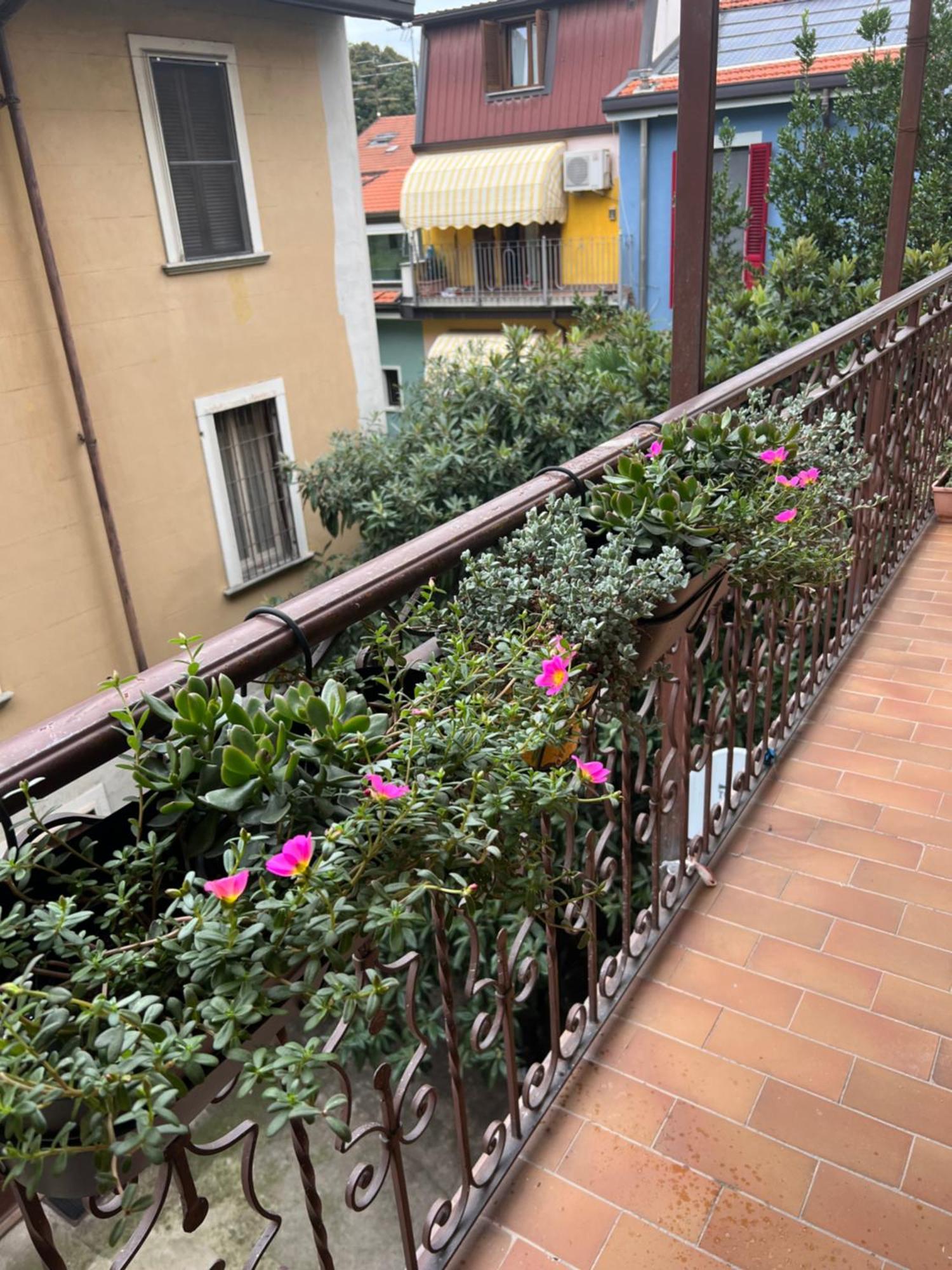 Appartamento Bassano32 Compact Il Tuo Rifugio Sul Parco Trotter Milano