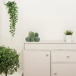 New! Lovely & Friendly In Milan Center B