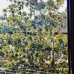 Flat In Milano, Isola