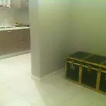 Luxury Apartment