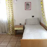 Lovely Studio Apartment