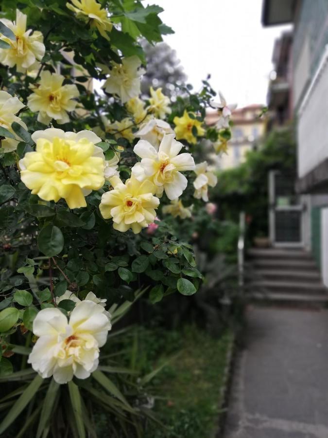 Guest house Villamelchiorre 1