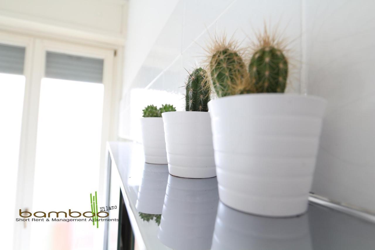 Apartamento Bamboo Papiniano Loft