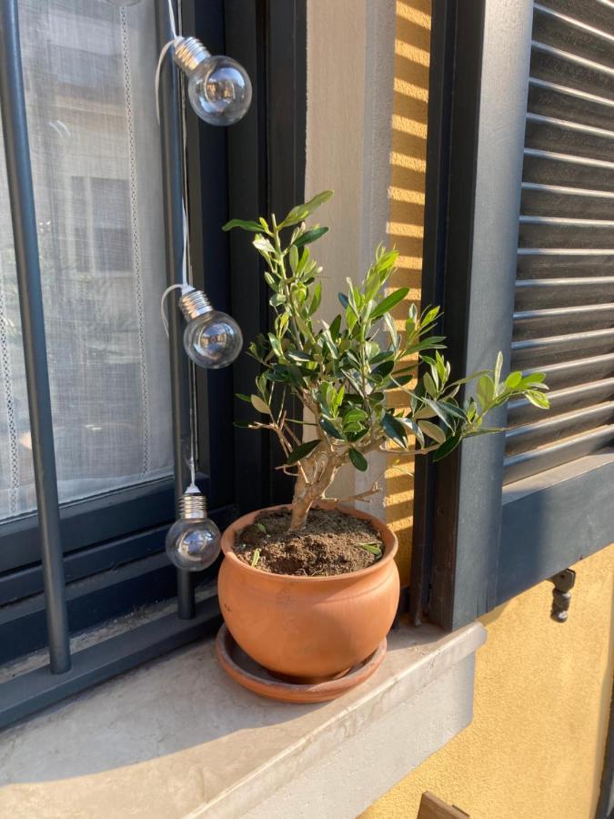Apartment Squisito In Stabile Vecchia *