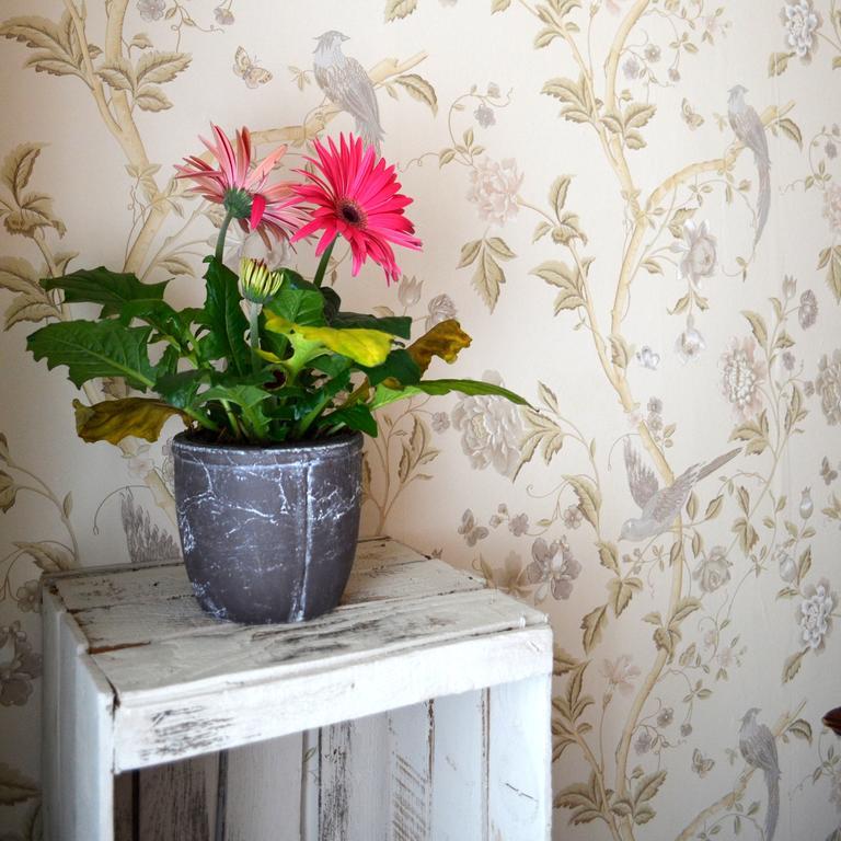 Bed & Breakfast La Casa Del Duca Milan
