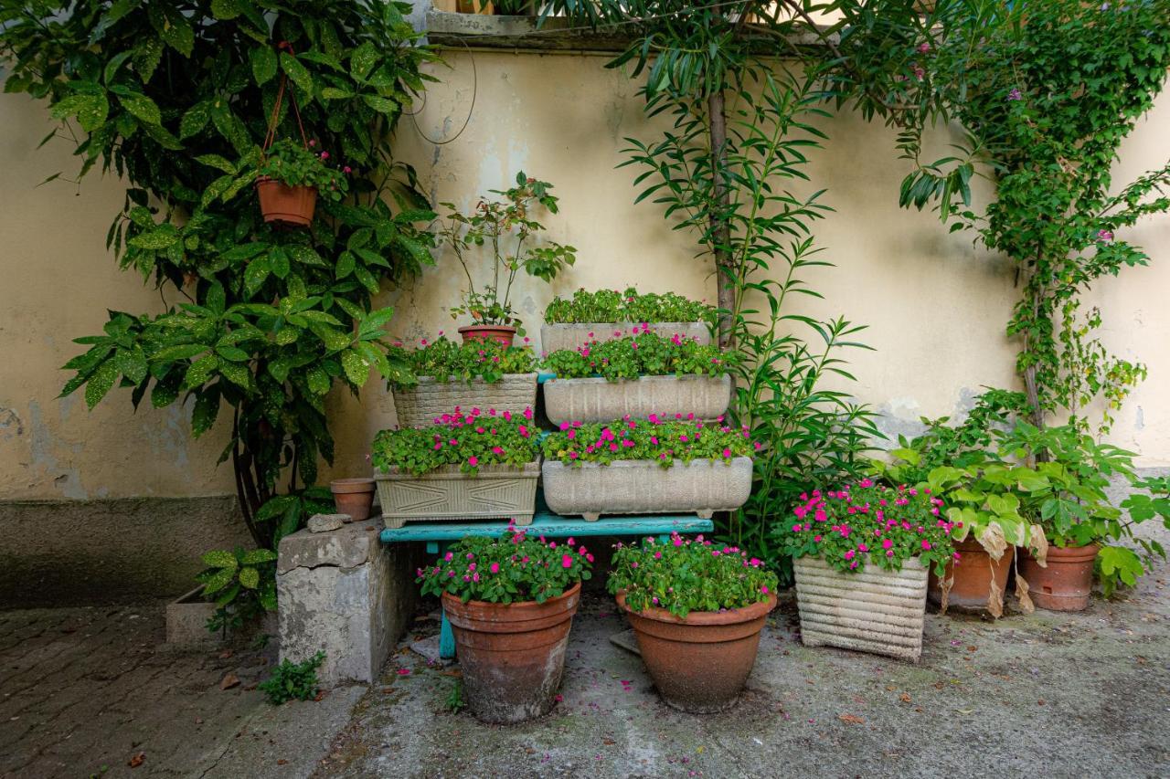 Appartamento Secret Garden In The Heart Of Isola