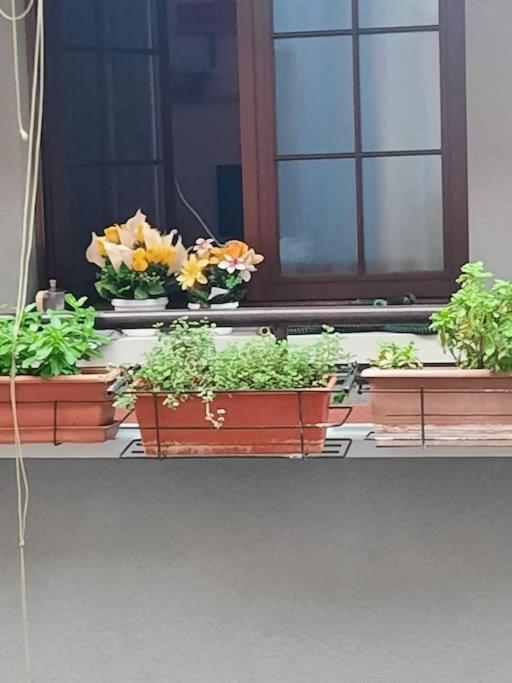 Appartamento Elegante Ideale: Casa Vacanza-affari