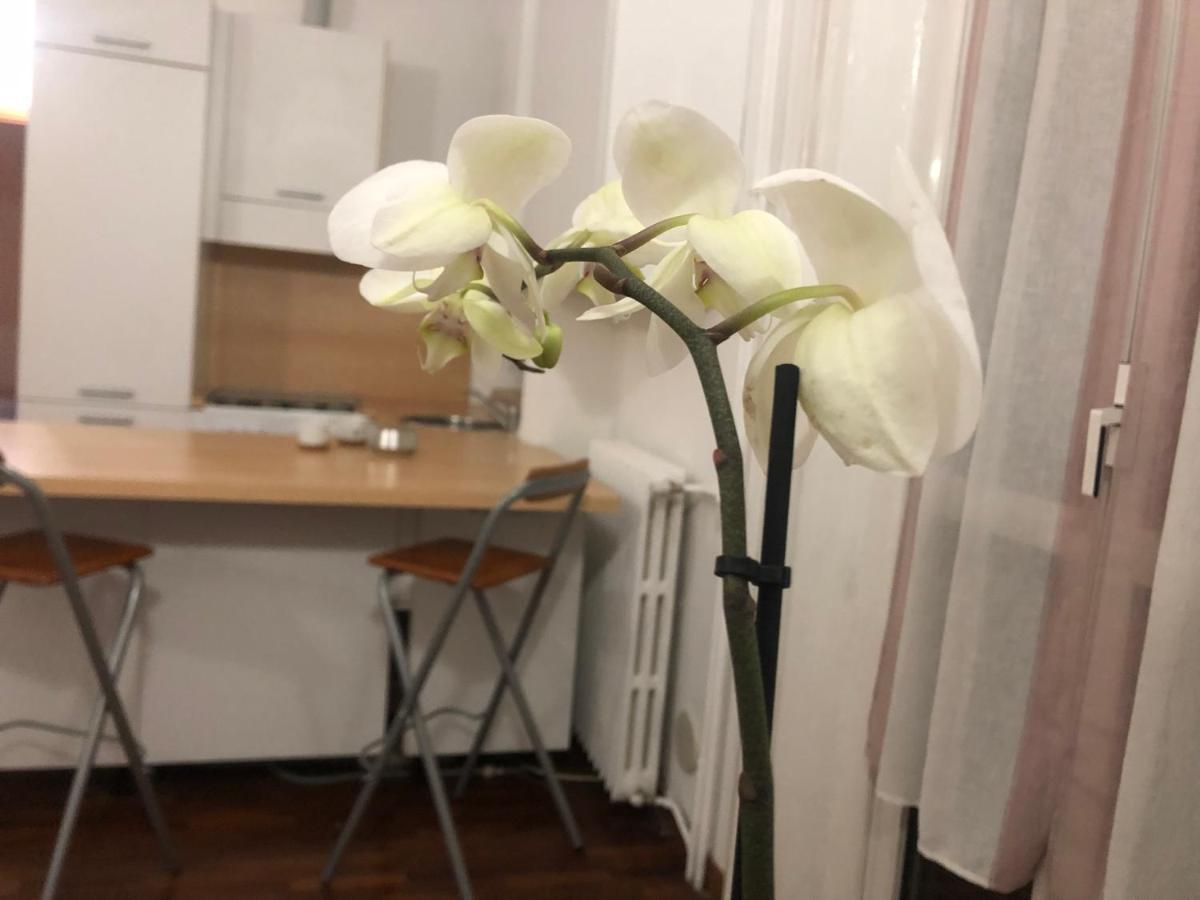 Romantica Darsena Apartment Milan