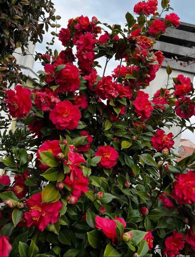 Giresio 41 - Your Penthouse With Rooftop Garden In Navigli - Wifi Apartment