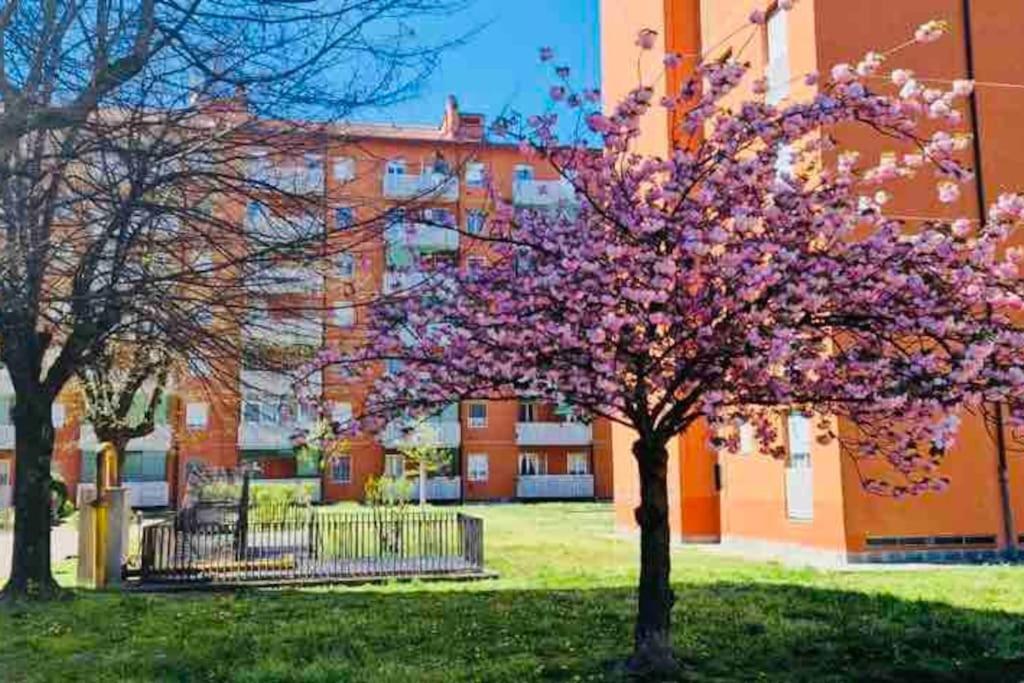 Apartamento Fk House