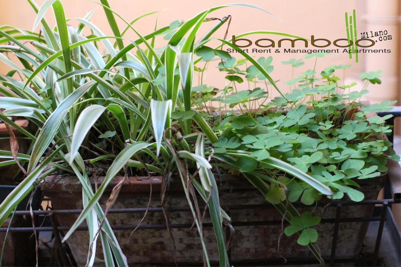 Apartment Bamboo Brera Milan