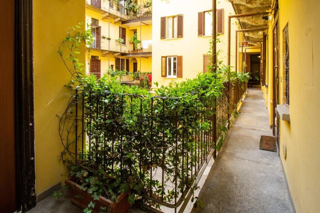 Palm Apartment Milan