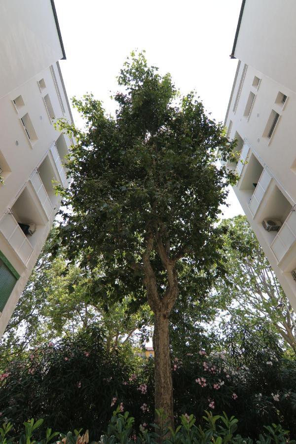 Casa Argonne Apartment Milan