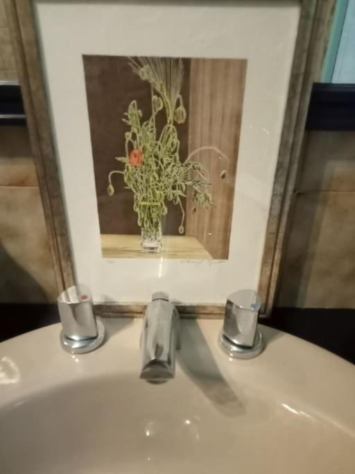 Il Grande Blu Apartamento *