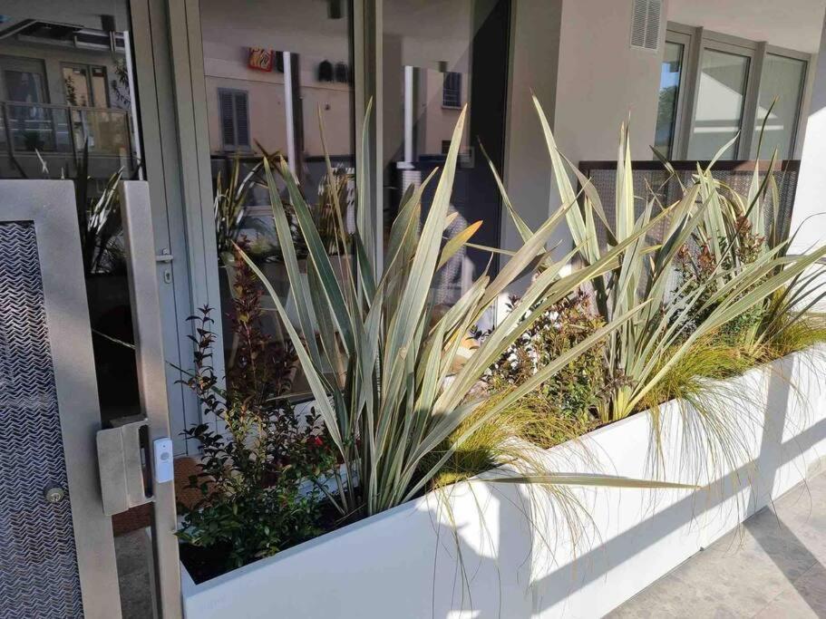 Dimora Il Cortile Holiday home