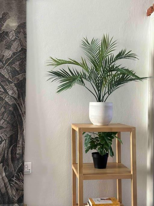Apartment Xenia - Charming Garden In Porta Venezia *