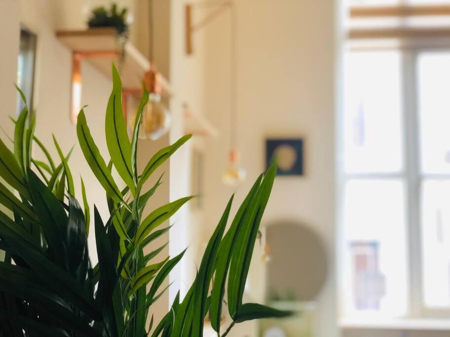 Casa Morgagni * Milan