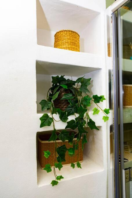 Apartment Canonica Attic Milan