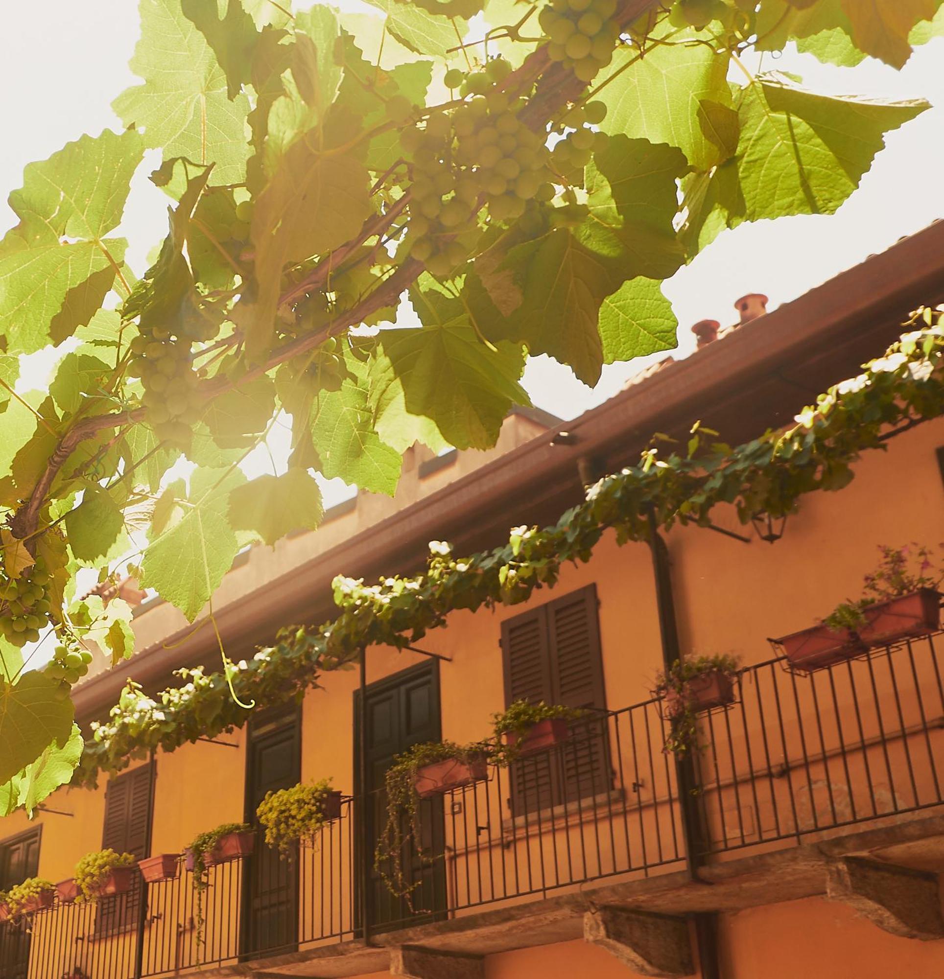 Lovelyloft - Alzaia Naviglio * Milan