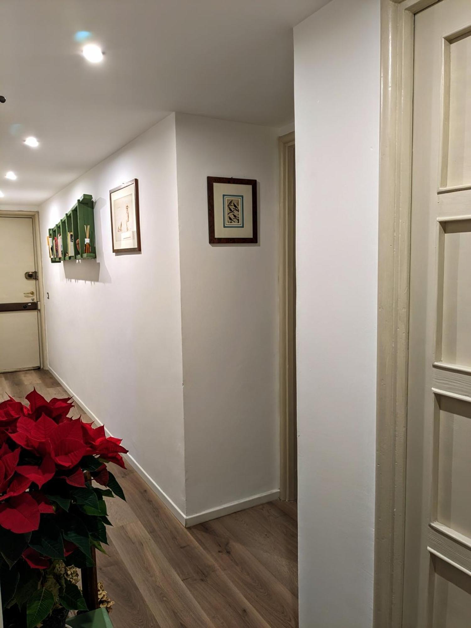 Pippo's House Milan