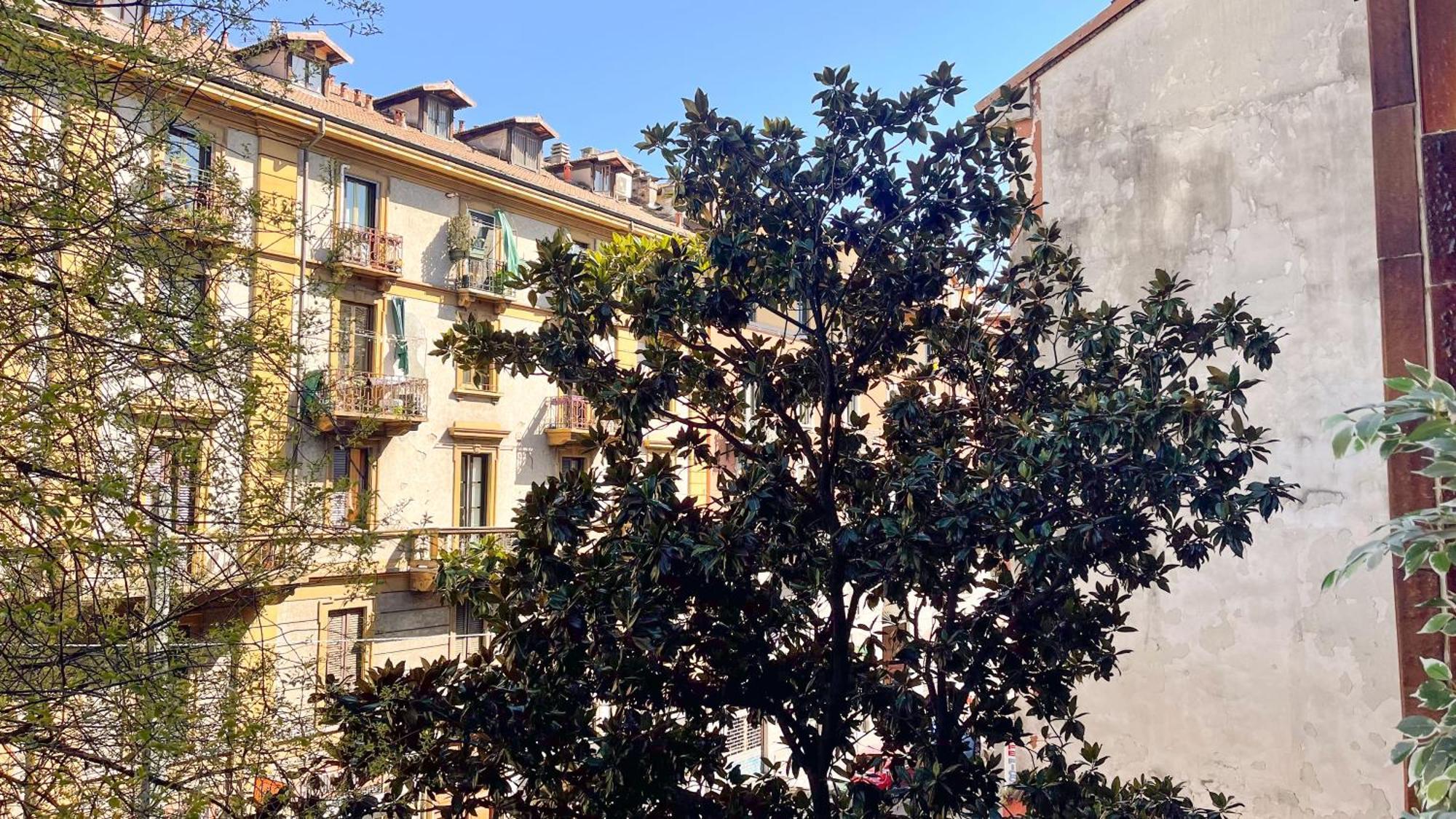 Oasis In The Center Of * Milan
