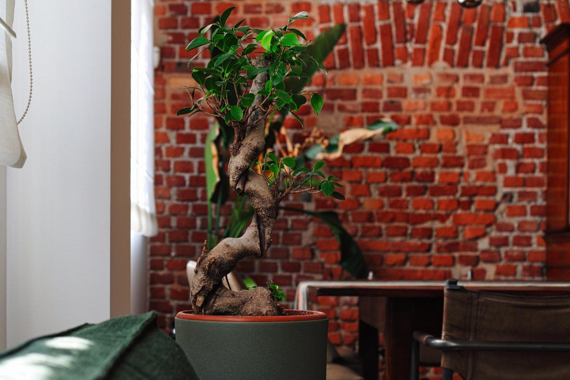 Apartment Mpm- Luxury Loft Navigli Milan
