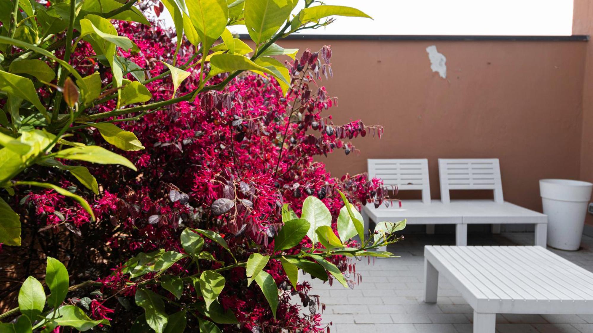 Apartamento Italianway - Moroni 19