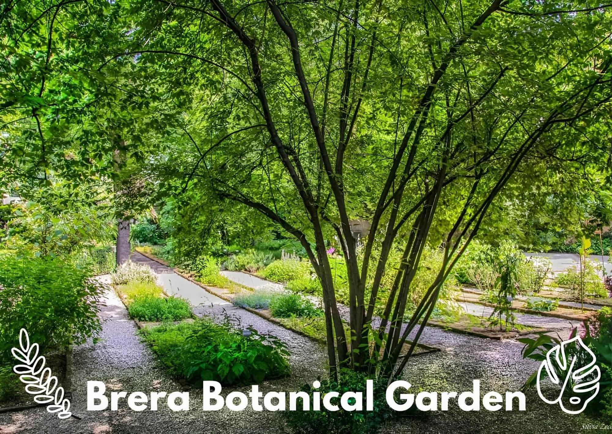 Apartamento Brera Vip Spotlight - Brera - Duomo - Castello Sforzesco - Lanza Metro M2