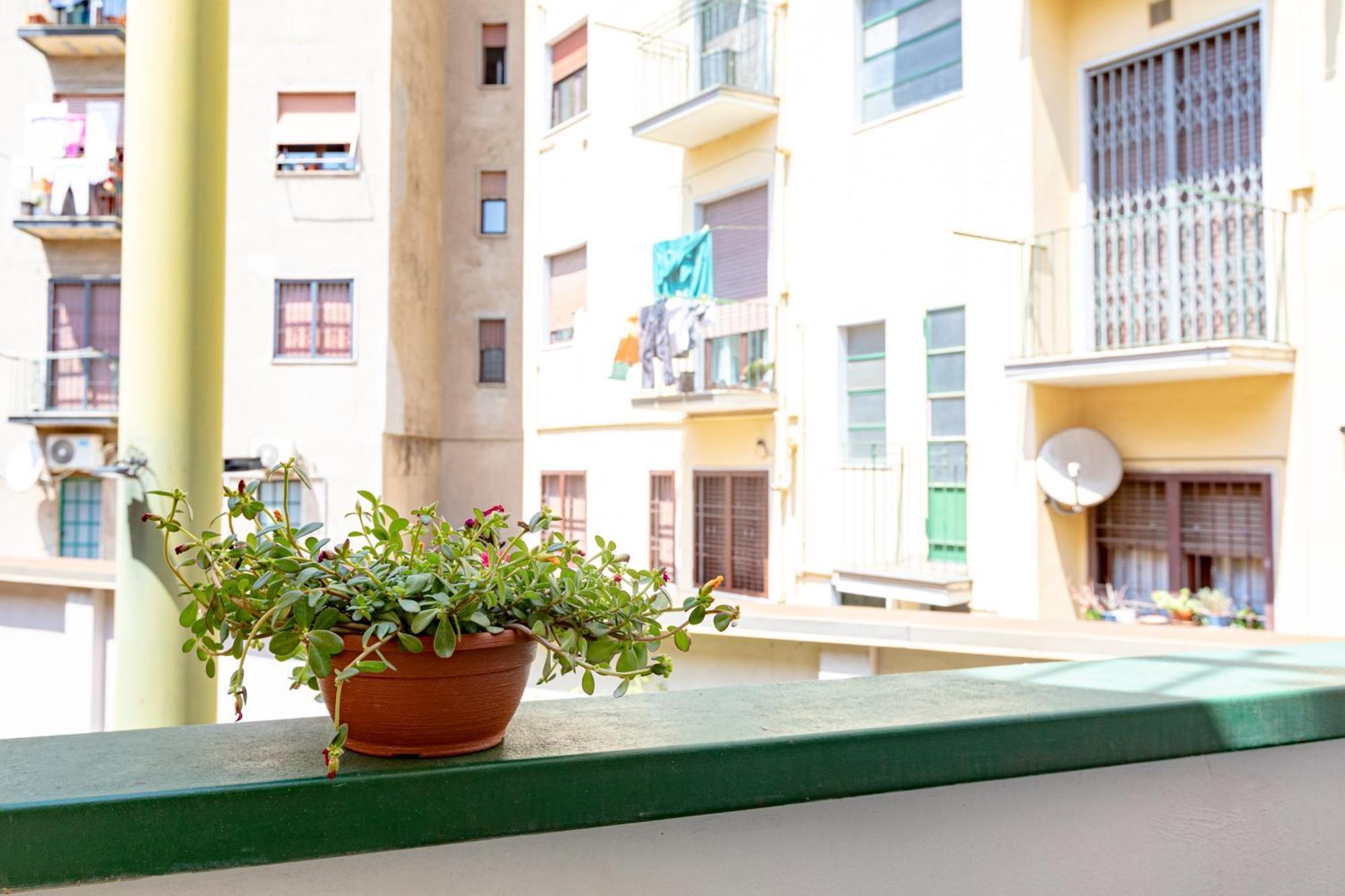 Citta Studi - Collection Guest house 3*