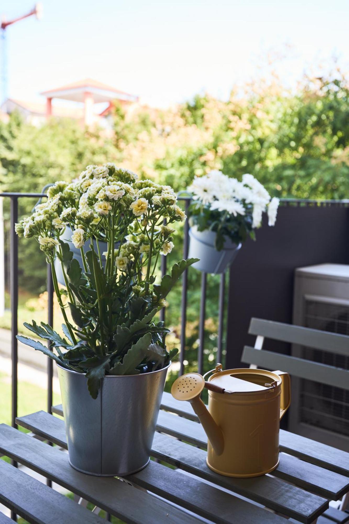 Apartment Deluxe Navigli