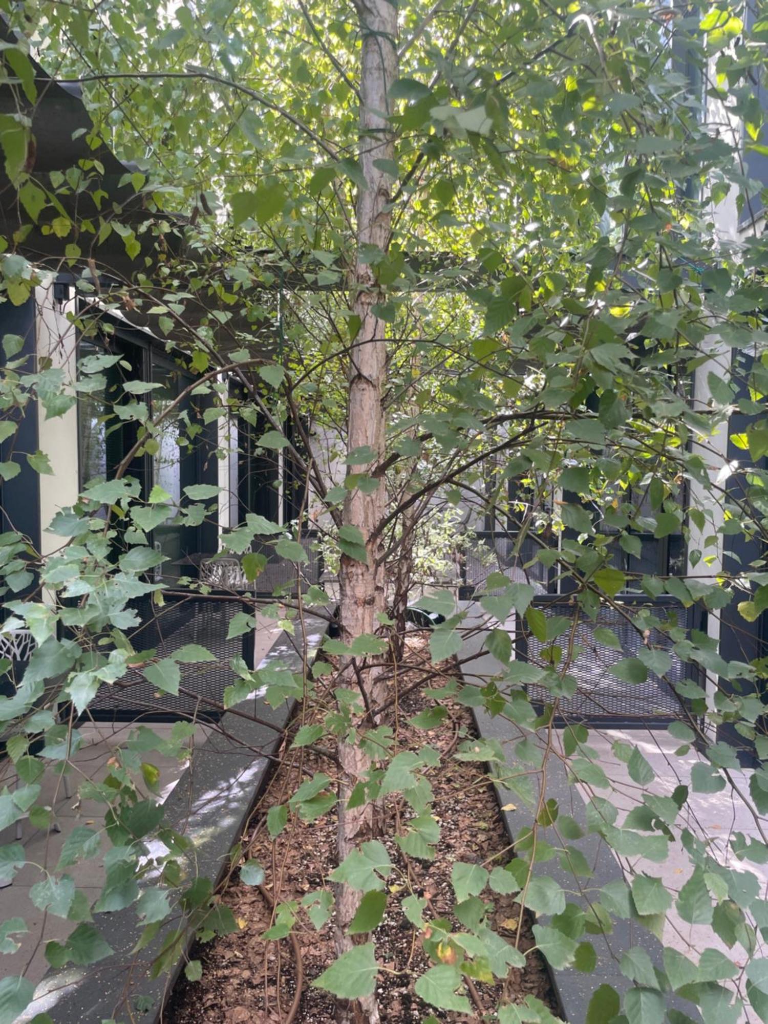 Versoverde Alzaia Naviglio Grande Aparthotel Milano