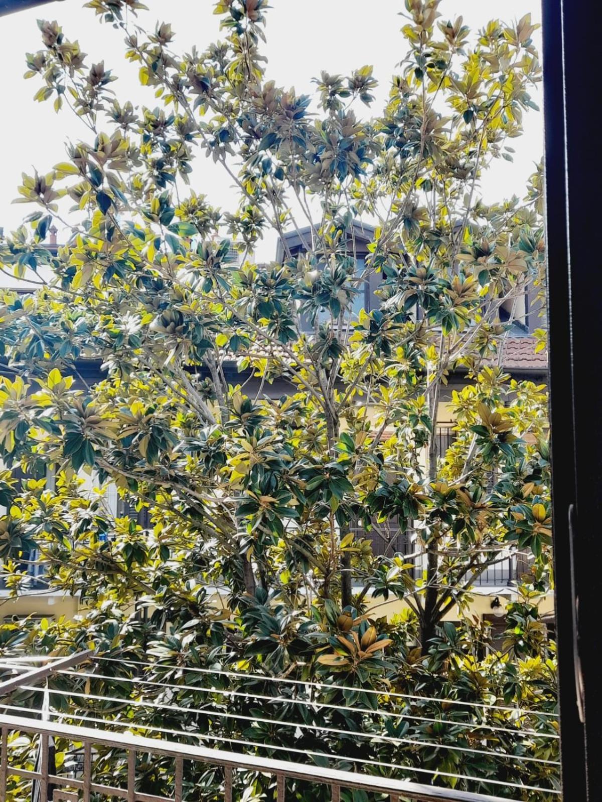 Flat In Milano, Isola *