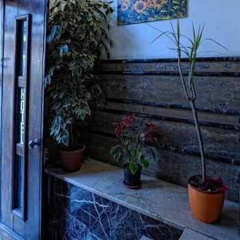 Hotel Amendola Fiera *