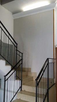 Domus