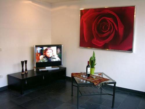 Apartment Isola *