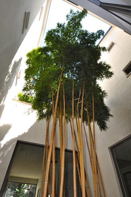 Aparthotel La Dimora 3*