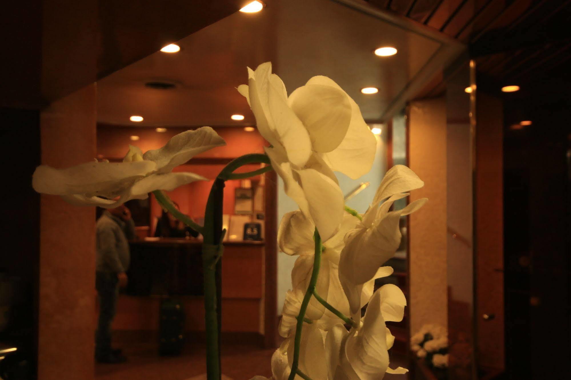 Lido Hotel 3*
