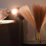 Caseospitali - Angolo Bernini Trilocale Luminoso