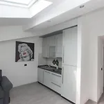 Amazing And New Penthouse In City Center