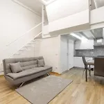 Meraviglioso Loft A Milano: