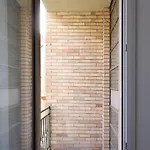Bilocale Metro 4 Blu Frattini - Airport Linate