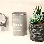 Bloom Apt - Citylife