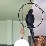 Tropical Suite