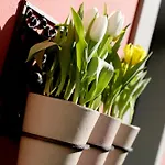 B&B Trovailtempo