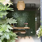 Greenhouse By Costanza