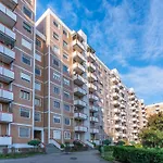 Casatella In The City