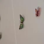 Ciao Flats - Via Cola Montano